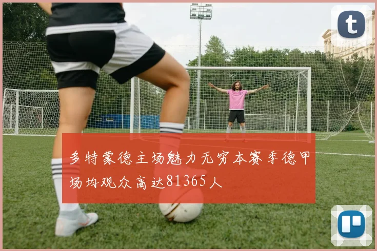 多特蒙德主场魅力无穷本赛季德甲场均观众高达81365人
